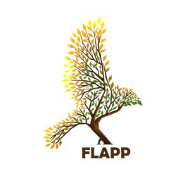 لوگوی فلپ